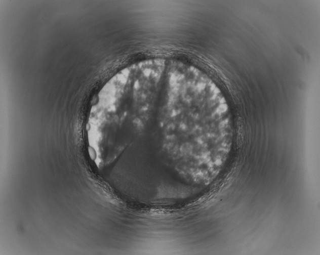 X0000111590641200908271010