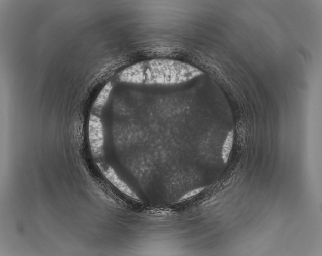 X0000111590642200908271010