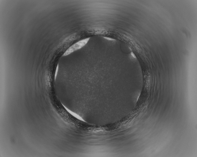 X0000111590643200908271010