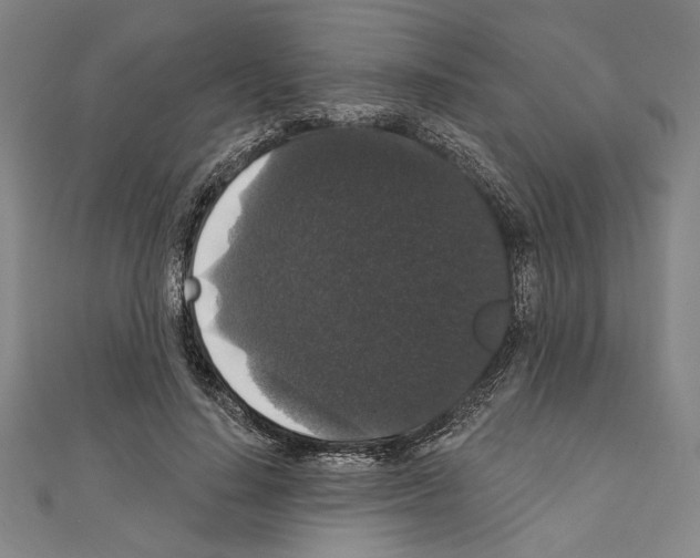 X0000111590644200908271010