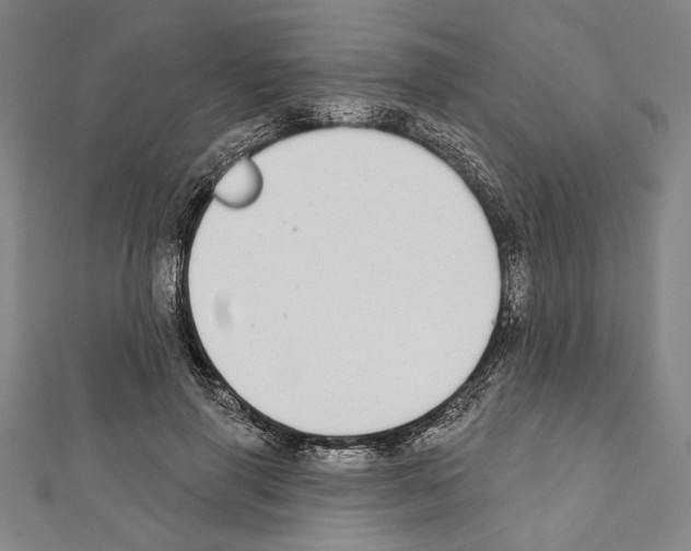 X0000111590645200908271010