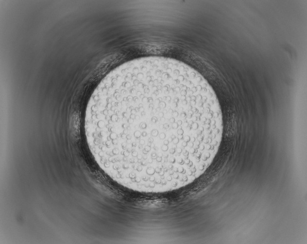 X0000111590646200908271010