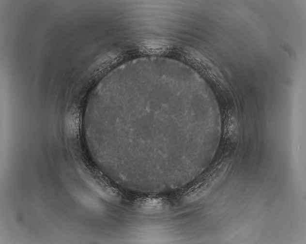 X0000111590647200908271010