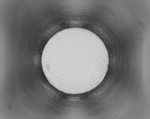X0000111590649200908271010