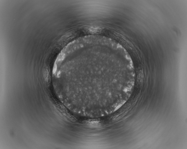 X0000111590651200908271010