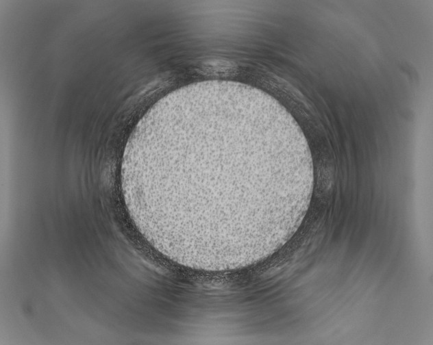 X0000111590652200908271010