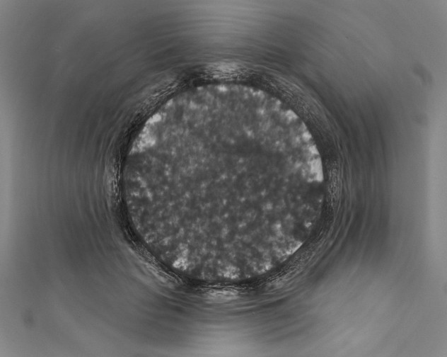 X0000111590653200908271010