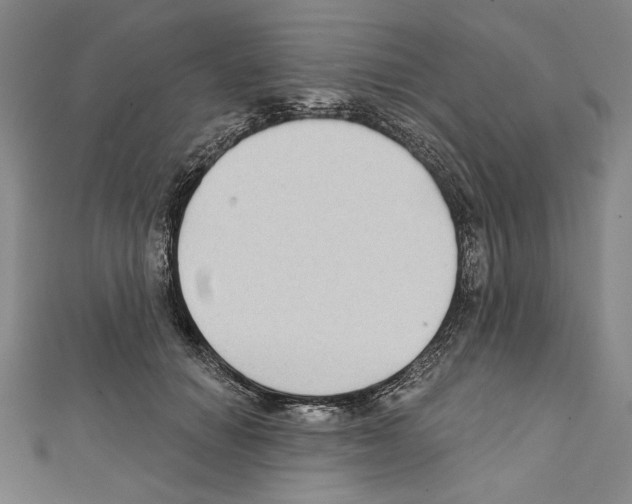X0000111590654200908271010