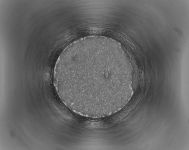 X0000111590655200908271010