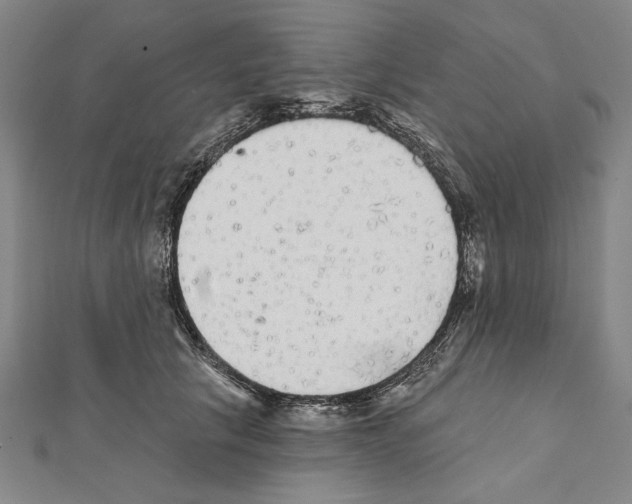 X0000111590657200908271010