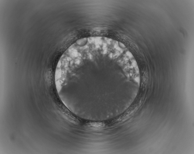 X0000111590659200908271010