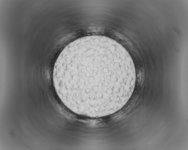 X0000111590662200908271010