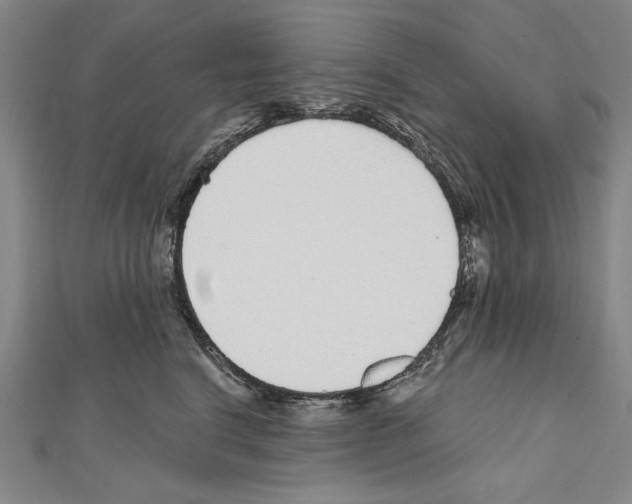 X0000111590664200908271010