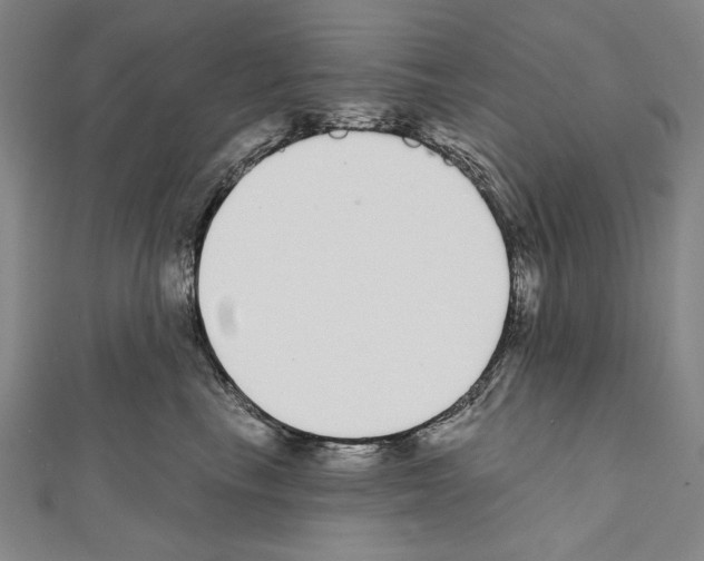 X0000111590665200908271010