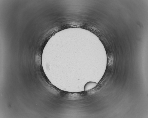 X0000111590666200908271010