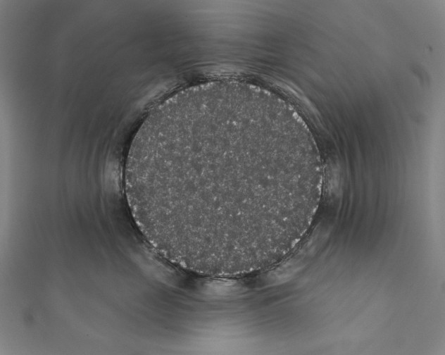 X0000111590669200908271010
