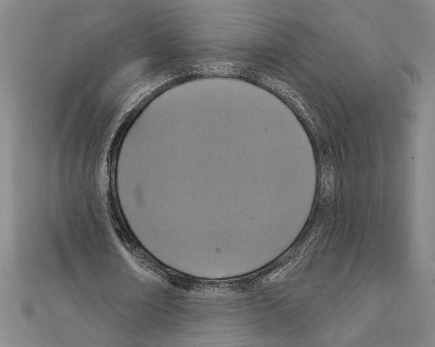 X0000111590674200908271010