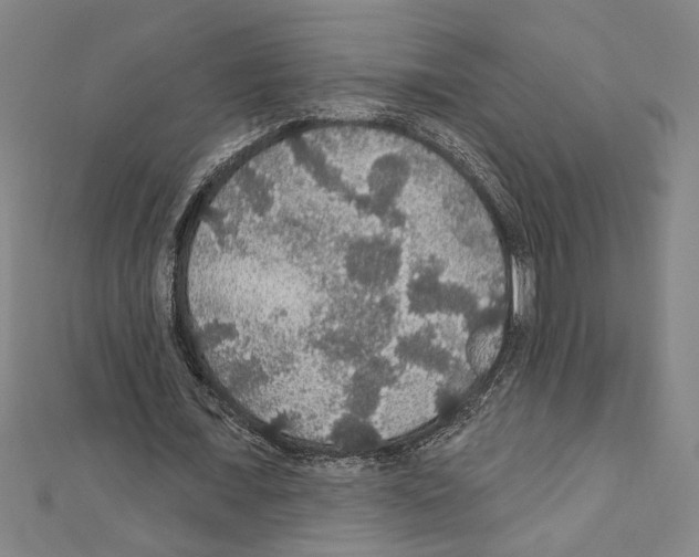 X0000111590675200908271010