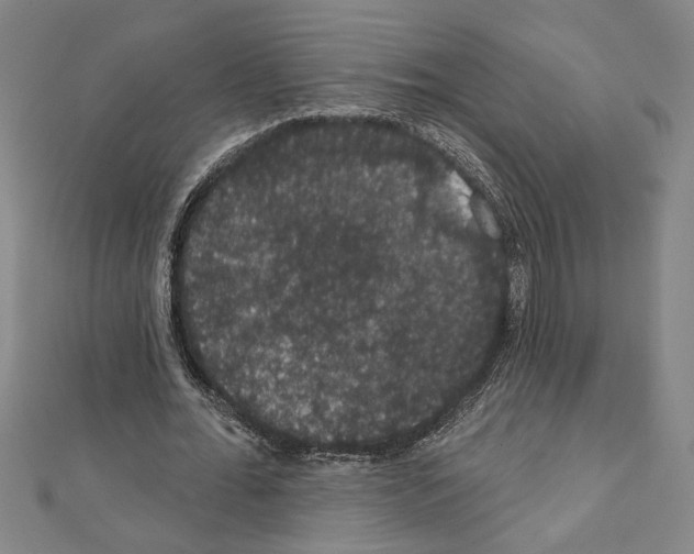 X0000111590676200908271010