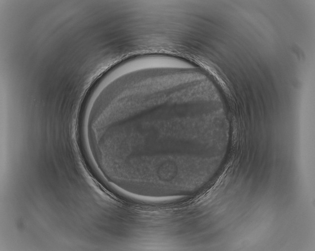 X0000111590677200908271010