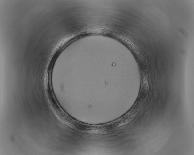 X0000111590678200908271010