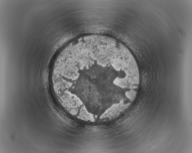 X0000111590679200908271010