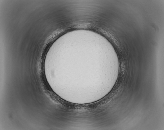 X0000111590682200908271010