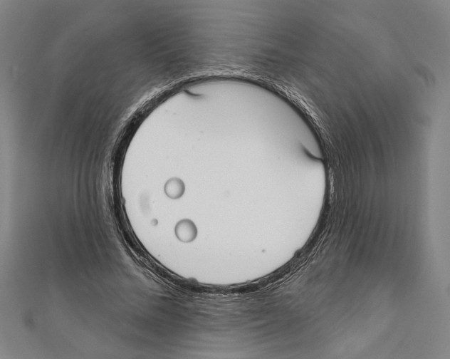 X0000111590684200908271010