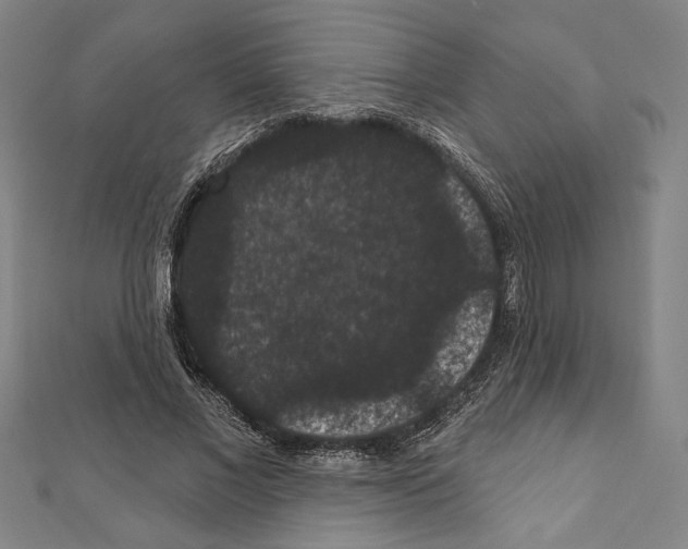 X0000111590685200908271010