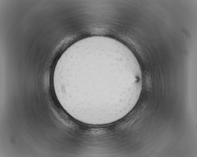 X0000111590686200908271010
