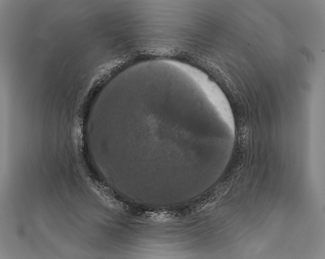 X0000111590688200908271009