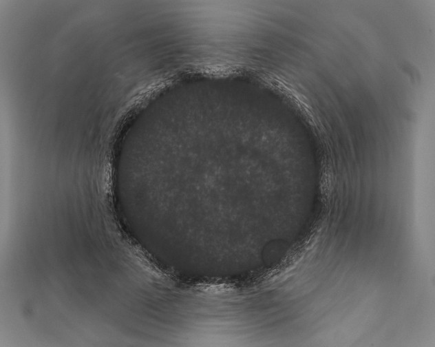 X0000111590689200908271009