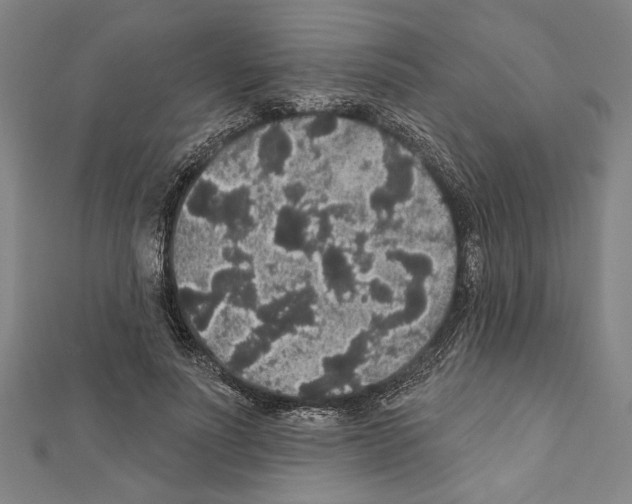 X0000111590691200908271009