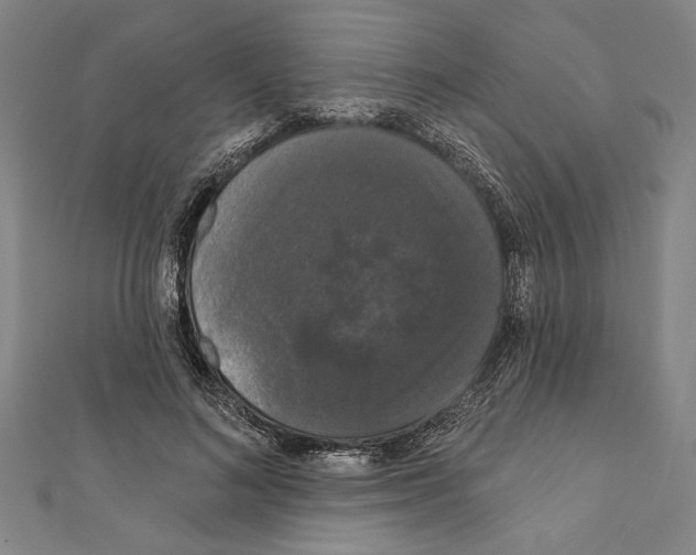X0000111590692200908271009