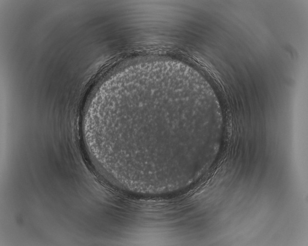 X0000111590693200908271009