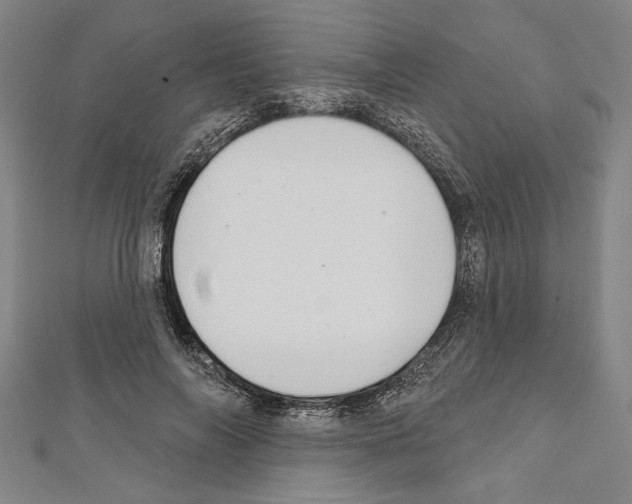 X0000111590694200908271009