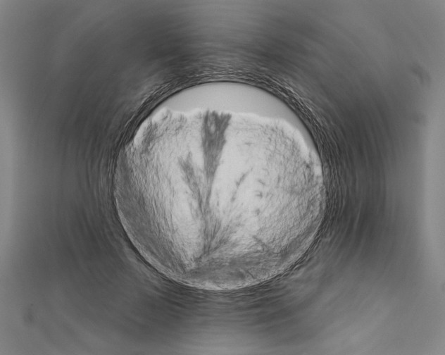 X0000111590695200908271009