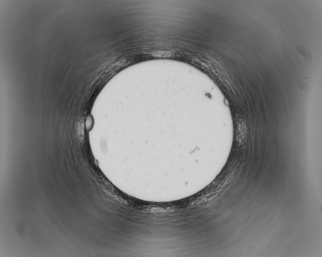 X0000111590697200908271009