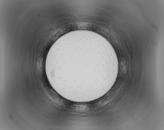 X0000111590698200908271009