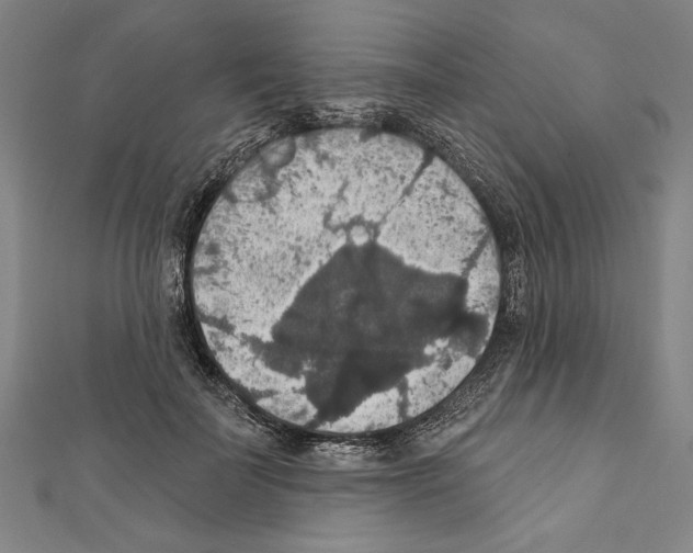 X0000111590699200908271009