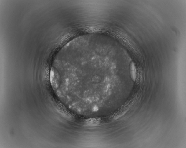 X0000111590700200908271009