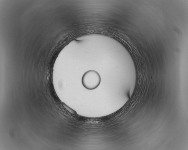 X0000111590701200908271009