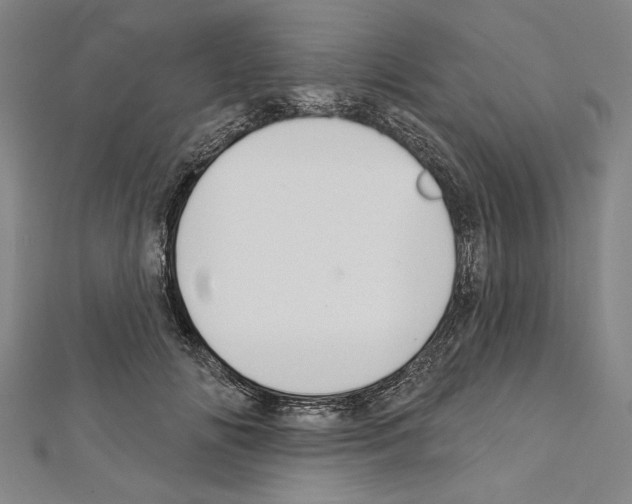 X0000111590702200908271009