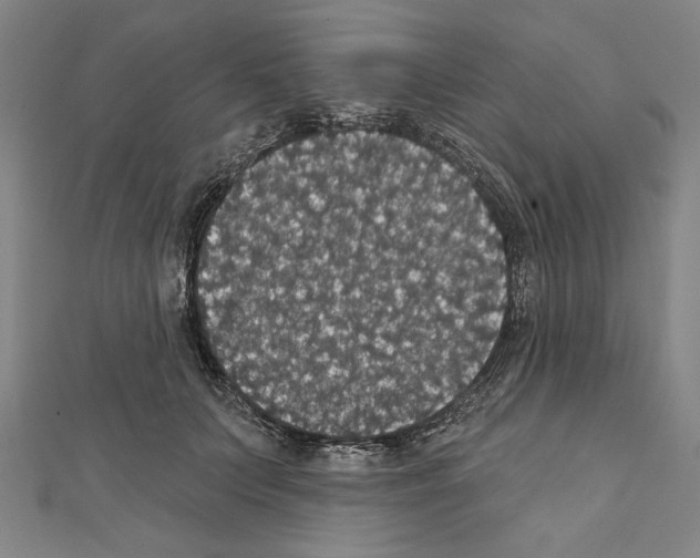 X0000111590703200908271009