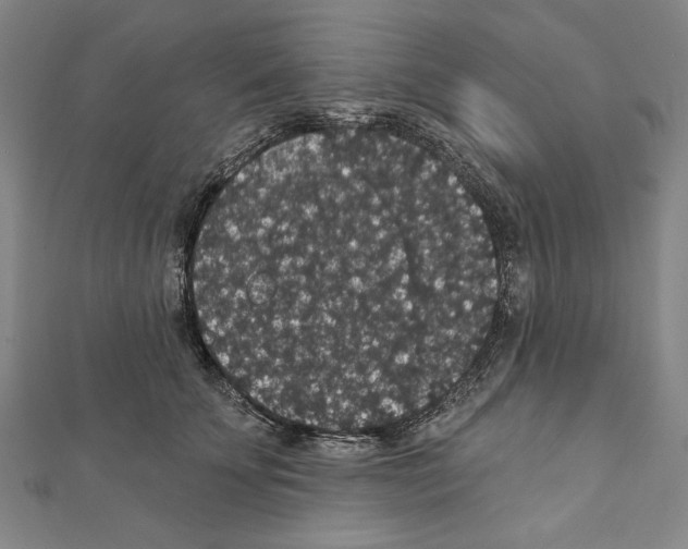 X0000111590707200908271009
