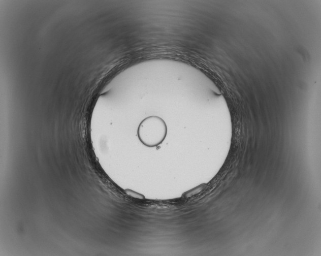 X0000111590708200908271009