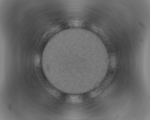 X0000111590709200908271009
