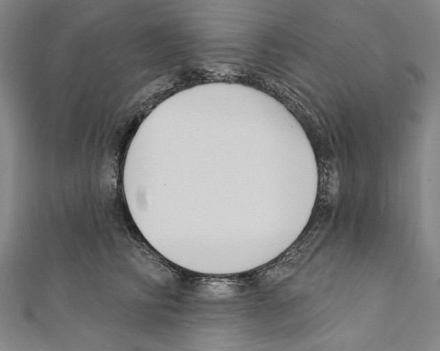 X0000111590710200908271009