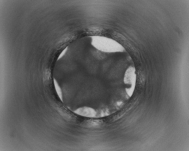 X0000111590711200908271009