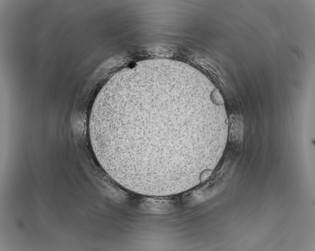 X0000111590713200908271009